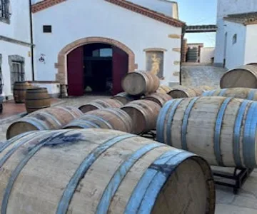 Barcelona: Day Trip to Penedès Wine Cellar + Tasting